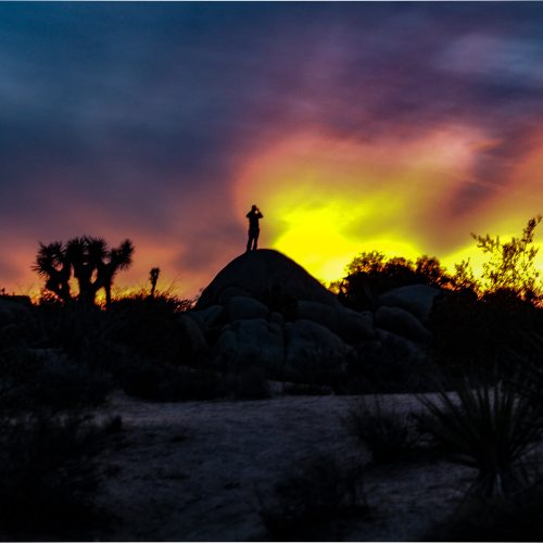 Joshua Tree National Park, CA